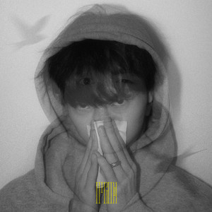 官网市场小蛇导航
